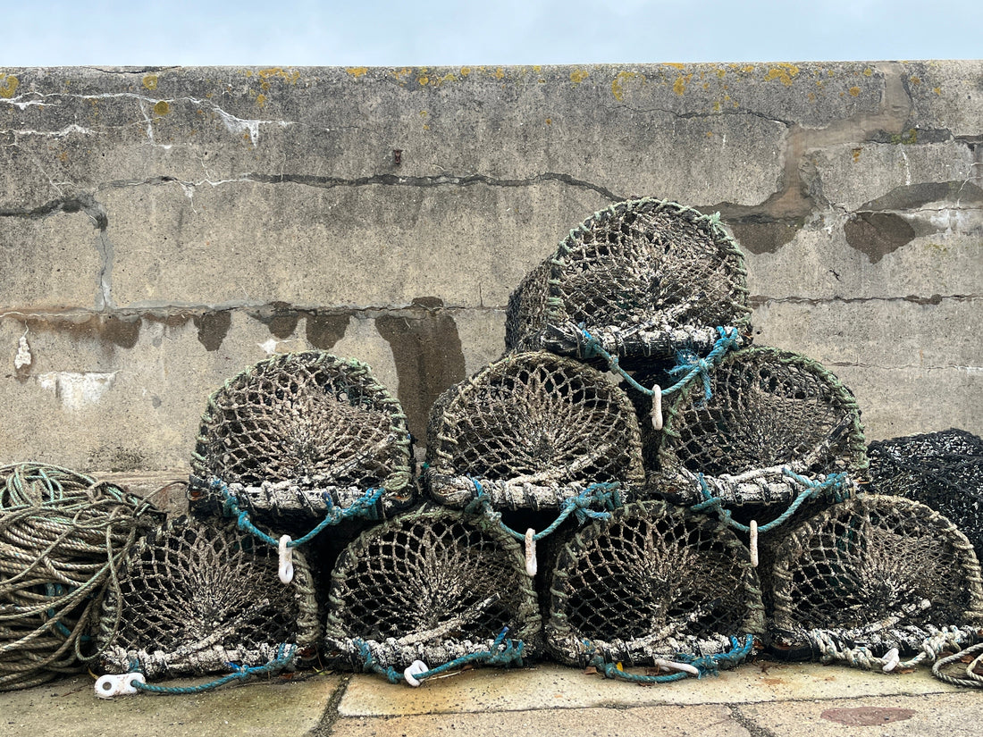 Dorn a’n Mor – A Hand from the Sea: The Soul of Cornish Craftsmanship