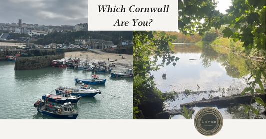 Which Cornwall Are You? The Wild One or the Quiet One