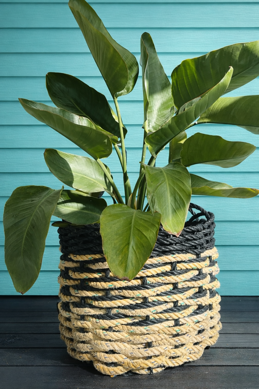 Dorn A’n Mor Repurposed Rope Basket – Black & Yellow